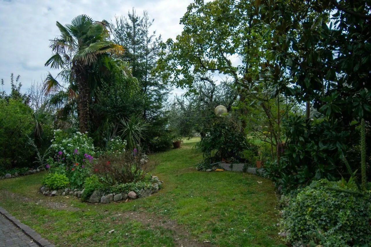 Bed and Breakfast El Rincon Del Artista Soiano Del Lago